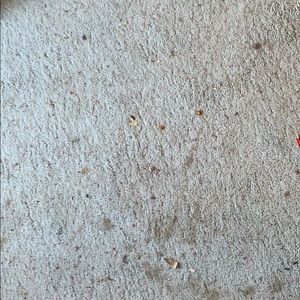 Meet your Posher, Rohan